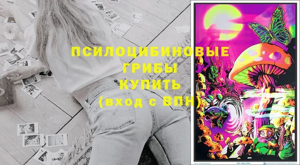ECSTASY Бородино