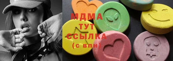 ECSTASY Бородино