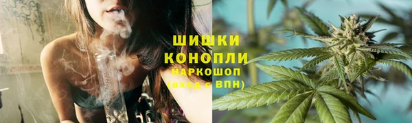 ECSTASY Бородино