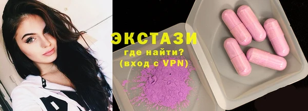 ECSTASY Бородино