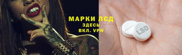 ECSTASY Бородино
