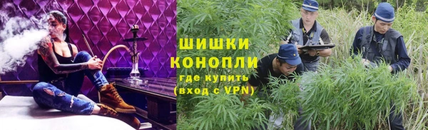 ECSTASY Бородино