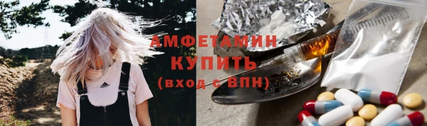 ECSTASY Бородино
