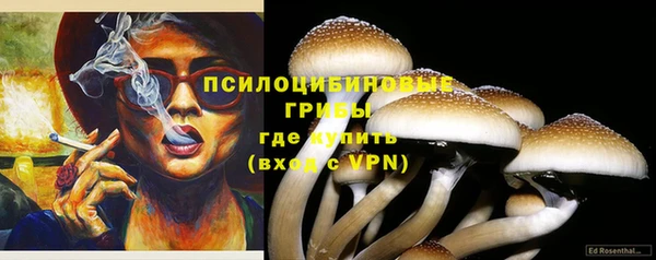 тгк Бугульма